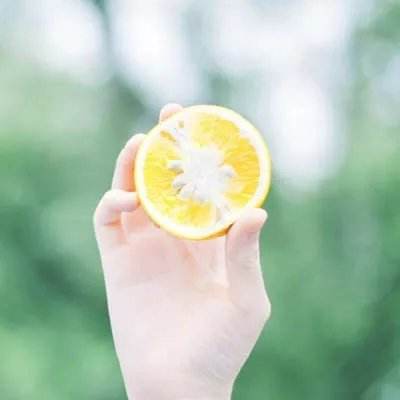 办公室冒险破解版下载